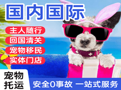 珠海航空空运国际宠物托运 【国